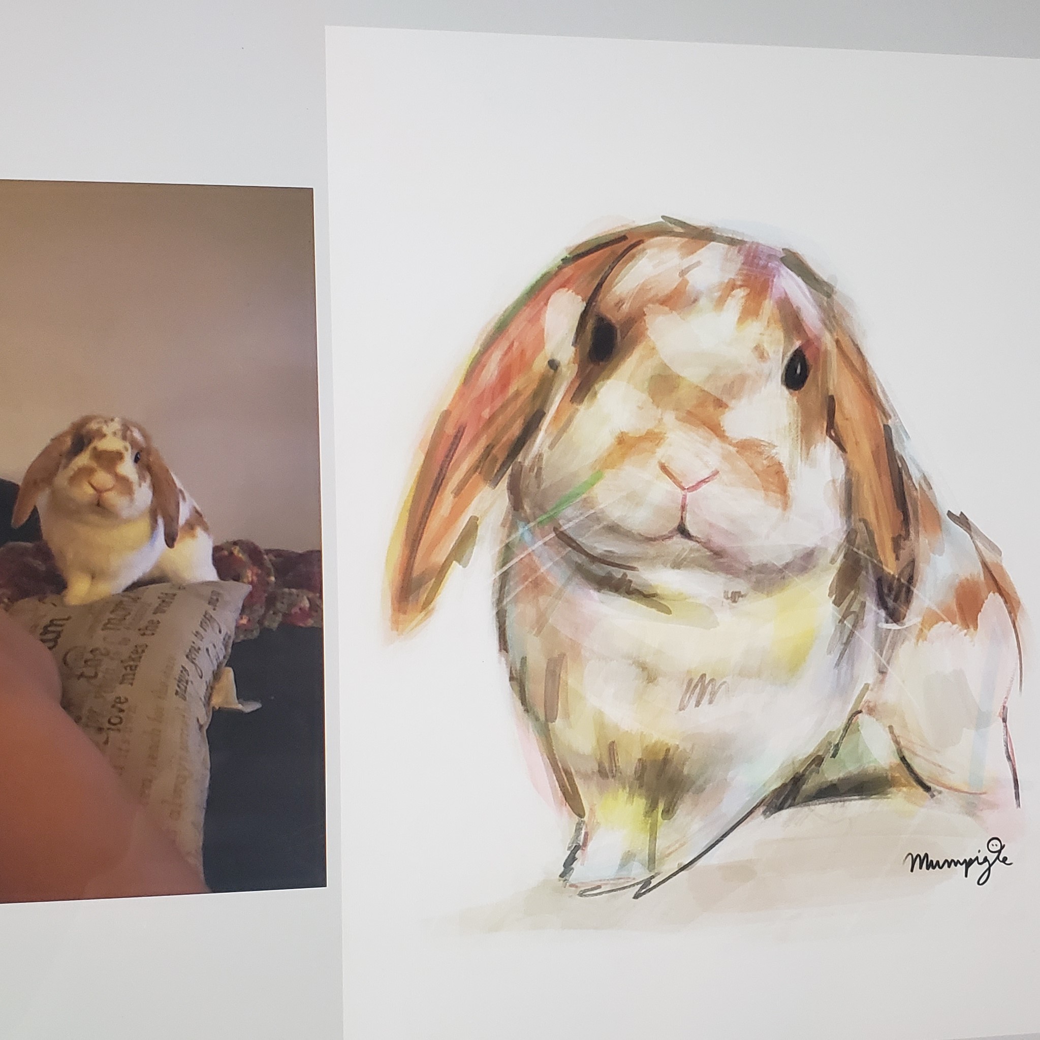 Digital pet portrait of Frodo the bunny using Adobe Fresco